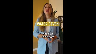 Tip tegen rouwvliegjes minder water geven  Pokon [upl. by Aelak]