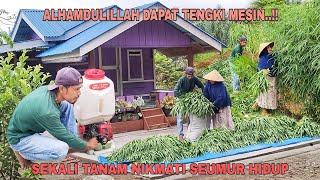 ALHAMDULILLAH DAPAT TENGKI MESIN SEKALI TANAM NIKMATI SEUMUR HIDUP [upl. by Alyahsal]