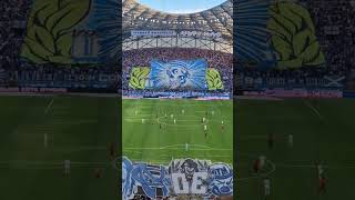 Marseille Commando Ultra Virage Sud Chevalier Rz one of the most famous hooligan gangs in football [upl. by Aniaj]