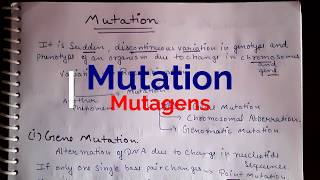 What is Mutations and mutagens Types and Detailed Explanation in Hindi neetncert easy to underst [upl. by Sirrom]