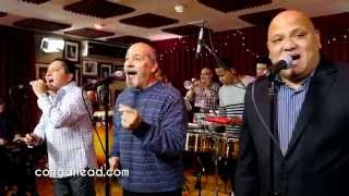 Spanish Harlem Orchestra performs This is Mambo [upl. by Nortal]