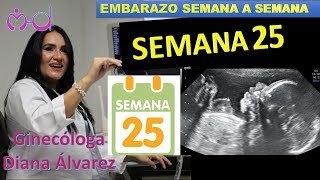 SEMANA 25 EMBARAZO SEMANA A SEMANA POR GINECOLOGA DIANA ALVAREZ [upl. by Melissa]