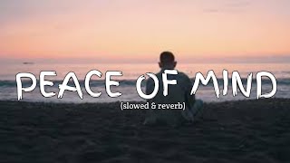 Peace of mind Lyrics  New song 2024 New English song  Best song english [upl. by Idok]