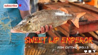 Sweet Lip Emperor Fish  මී වැටියා  Fish Cutting  👨🏻‍🍳🦈 SL Fish Cutting Home fishcutting [upl. by Saraann23]