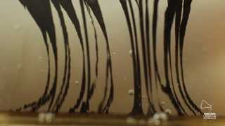 Ferrofluid  Pillar from [upl. by Adaner]