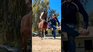 HORSE STEPS ON FOOT Ouch 🐴😬 horse shorts equestrian [upl. by Yoccm]