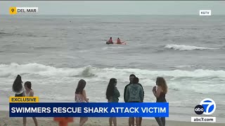 Witnesses rush into ocean to help swimmer attacked by shark near San Diego [upl. by Drofnil]