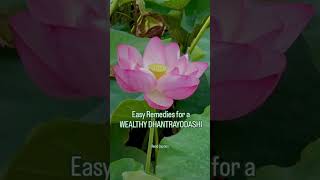 ✅ Do these 4 easy remedies on DHANTRAYODASHI to attract Wealth and Prosperity Read Description [upl. by Akiram]