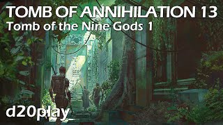 Tomb of Annihilation 13  Tomb of the Nine Gods 1  DDHCTOA1c5 [upl. by Zeuqram982]