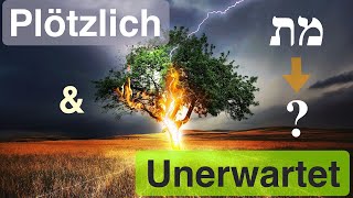 Der schnelle Tod in der letzten Generation – wie die Tora mit der Sintflut das Sterben neu benennt [upl. by Neryt250]