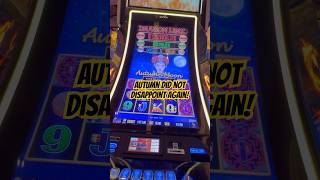 Autumn Moon Did NOT Disappoint slots lasvegas slotsbonus gambling casino [upl. by Adelric]