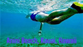 Snorkeling at Anini Beach Kauai Hawaii [upl. by Reeve]