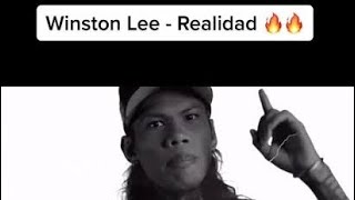 Realidad byWinston lee  this video is for school purposes colawinNHS 12DIAMONDMIL [upl. by Atonsah]