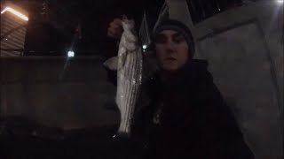 Late Winter Striped Bass Fishing Providence River Rhode Island [upl. by Francisco]