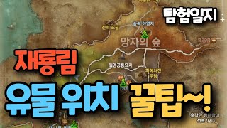 블소네오 재룡림 유물위치 탐험일지 꿀팁 확인 필수시청 블소네오 [upl. by Gaul]