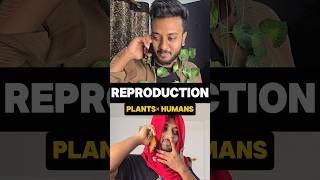 If Humans reproduce like Plants🌿 NEET funny video shorts shivamrajaiims neetexam funny [upl. by Llevaj933]