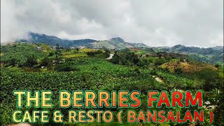 THE BERRIES FARM CAFE amp RESTO and Balutakay Mountain view  BANSALAN [upl. by Norene53]