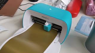 Cricut Premium Removable Vinyl Overview [upl. by Nuhsar870]