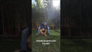 Wildbienenhotel bauen Teil 1 [upl. by Anahir132]