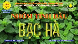 Nhóm Tinh Dầu Bạc Hà Thiên Nhiên [upl. by Otrebron]