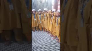 students status story storywa islamicstatus madrasah [upl. by Nomael]