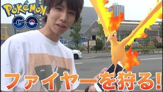 【ポケモンGO】ファイヤーは流石に捕まえる [upl. by Acim]