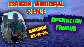 ESPIGON MUNICIPAL STME  PESCA DE BOGUITAS [upl. by Ennairda]