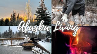 Alaska Living [upl. by Nolrah]