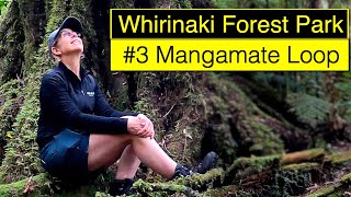 I completed a three day SOLO adventure Mangamate Loop Whirinaki Forest 3 🥾 🌳🌿💦 [upl. by Durwyn321]