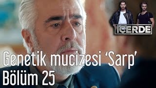 İçerde 25 Bölüm  Genetik Mucizesi Sarp [upl. by Anaynek997]