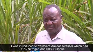 Yara fertilizer sugarcane testimonial in Navakholo [upl. by Aihtibat]