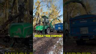 Huge horsepower Albach Diamant tree chipper [upl. by Ellehcor]