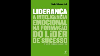 Liderança  Daniel Goleman Audiobook PT  Parte 12 [upl. by Annaiuq]