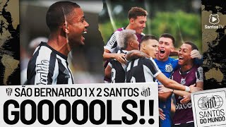 SÃO BERNARDO 1 X 2 SANTOS  GOLS  COPINHA 130123 [upl. by Chak738]