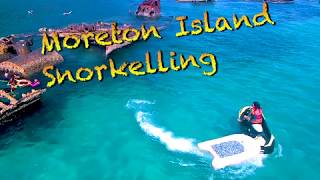 Snorkeling around Tangalooma Shipwrecks on Moreton Island Queensland Australia [upl. by Nauqet]