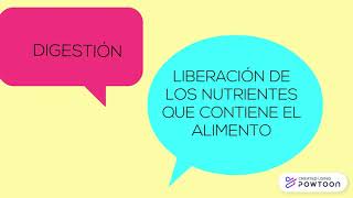 LA NUTRICIÓN EN ORGANISMOS HETERÓTROFOS [upl. by Lucius]