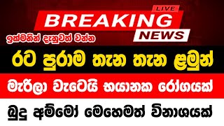 derana news today live  ada derana news today live now  SRI LANKA TODY  hiru tv today sri lanka [upl. by Yehudit]