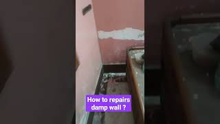 how to repair damp wall  wall waterproofing  wall dampness treatment  damp wall [upl. by Boles]