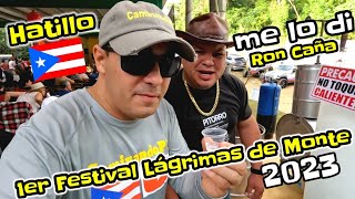 Primer Festival Lágrimas de Monte 2023 en Hatillo Puerto Rico [upl. by Llebana]