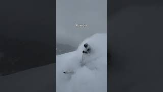 skiing adventure snow sport mountains hiking gopro mountain austria freestyle ski [upl. by Rior]