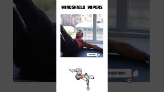 Windshield Wipers Exercise How To Do And Muscles Worked absathome homeworkoutideas homegym [upl. by Lorelle]