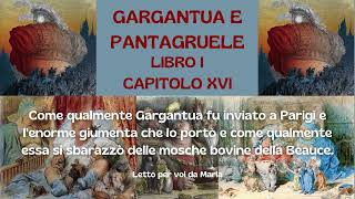 GARGANTUA E PANTAGRUELE Libro 1° Cap 16 [upl. by Irollam]