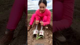 Satisfying Seedlings Planting Tools for Rural Farmer  Helpful Agricultural Tools shorts ytshorts [upl. by Nedloh]