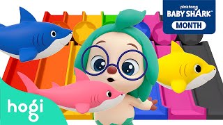 Colorful Slide Baby Shark ver  More｜Learn Colors for Kids｜Hogi Colors｜Colors Songs｜Hogi Pinkfong [upl. by Ann-Marie]