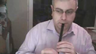 Fairy Dance played on Penny Whistle Tin Whistle [upl. by Eillom841]