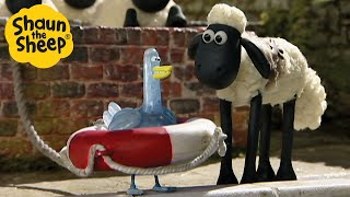 Shaun the Sheep 🐑 A Nutty Discovery 🥥🔎 Full Episodes Compilation 1 hour [upl. by Leahcimaj]