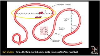 Side chain interactions and amino acids  Real Chemistry [upl. by Fran]