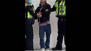 Wealdstone raider arrested for what [upl. by Eaner]