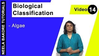 Biological Classification  NEET  Algae  Neela Bakore Tutorials [upl. by Otreblif]