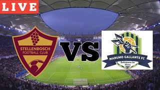 Stellenbosch FC vs Marumo Gallants FC Live Today Match [upl. by Adnwahsat972]